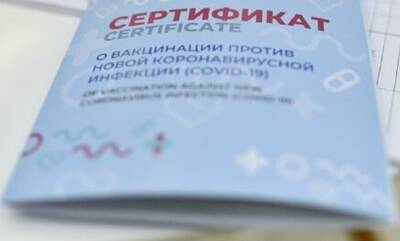 Названа причина, по которой затягивается признание сертификатов о вакцинации между РФ и ЕС - mirnov.ru - Россия - Переговоры
