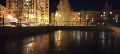 В Сыктывкаре впервые появятся катки в Нижнем и Верхнем Чове и Лесозаводе - komiinform.ru - респ. Коми - Сыктывкар - Владимир