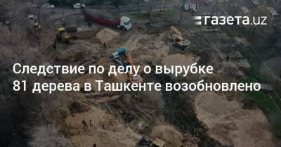 Следствие по делу о вырубке 81 дерева в Ташкенте возобновлено - gazeta.uz - Узбекистан - Ташкент - Экология