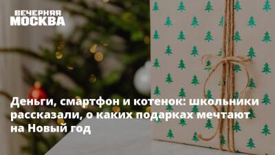 Деньги, смартфон и котенок: школьники рассказали, о каких подарках мечтают на Новый год - vm.ru