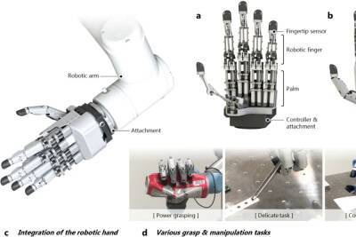 Инженеры создали антропоморфную роботизированную руку ILDA: она способна резать бумагу ножницами и держать гантель на 18 кг - itc.ua - Украина