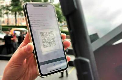 Вячеслав Володин - В аптеки и продуктовые магазины пустят без QR-кодов - pnp.ru