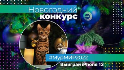 Правила акции «МурМИР2022» - mir24.tv