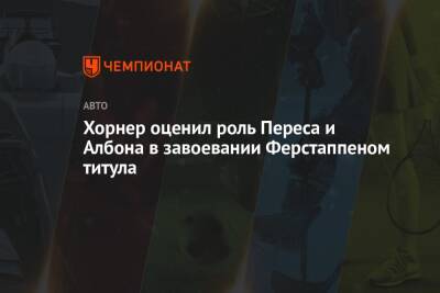 Максим Ферстаппен - Кристиан Хорнер - Серхио Перес - Алексей Албон - Хорнер оценил роль Переса и Албона в завоевании Ферстаппеном титула - championat.com - Турция - Абу-Даби