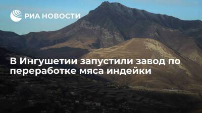 В Ингушетии запустили завод по переработке мяса индейки мощностью 40 тонн в день - smartmoney.one - Россия - респ. Ингушетия - район Малгобекский