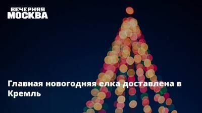 Главная новогодняя елка доставлена в Кремль - vm.ru - Москва - Россия