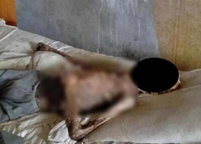 В Тольятти шокированные соседи нашли мумию в квартире - 7info.ru - Тольятти - Тольятти