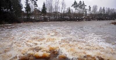 "Желтое" предупреждение: ночью повысится уровень воды в Огре. На реках — ледоход - rus.delfi.lv - Латвия