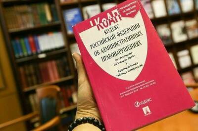 За неполную уплату алиментов хотят привлекать к ответственности - pnp.ru