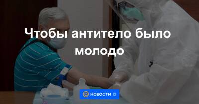 Чтобы антитело было молодо - news.mail.ru