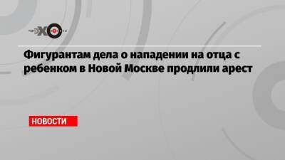 Александр Бастрыкин - Фигурантам дела о нападении на отца с ребенком в Новой Москве продлили арест - echo.msk.ru - Москва