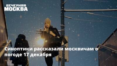 Синоптики рассказали москвичам о погоде 17 декабря - vm.ru - Москва - Московская обл.