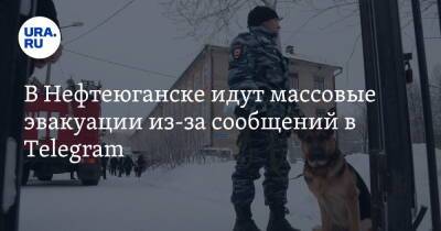 В Нефтеюганске идут массовые эвакуации из-за сообщений в Telegram - ura.news - Россия - Югра - Нефтеюганск