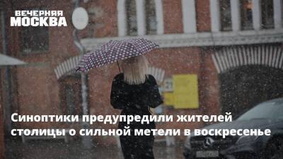 Роман Вильфанд - Синоптики предупредили жителей столицы о сильной метели в воскресенье - vm.ru - Москва - Россия - Москва