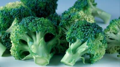 Ученые выяснили, какие продукты предотвращают генетические мутации от курения - 5-tv.ru - США - шт. Массачусетс