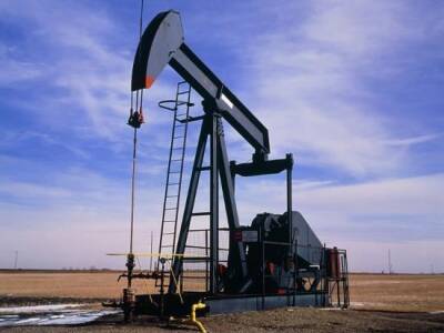 Александр Дюков - "Газпром нефть" долгосрочно закладывает в бюджет стоимость нефти в $50 за баррель - trend.az - Россия
