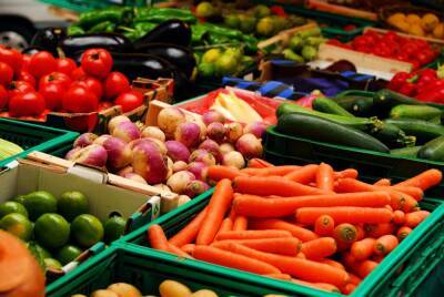 Россия установила рекорд по экспорту агропромышленной продукции - newsland.com - Россия