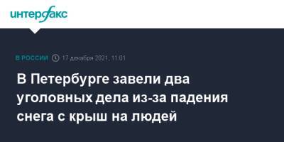 В Петербурге завели два уголовных дела из-за падения снега с крыш на людей - interfax.ru - Москва - Россия - Санкт-Петербург - Петербург