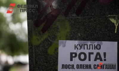 Волгоградец нашел рога сайгака, продал и получил год условно - fedpress.ru - Россия - Волгоград - Волгоградская обл.