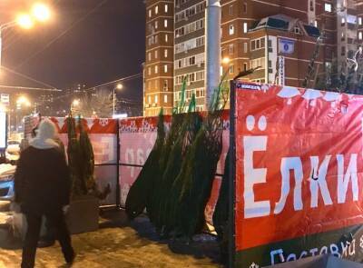 Живая или искусственная – Сравнение стоимости елок в Уфе к Новому году - ufacitynews.ru - Уфа
