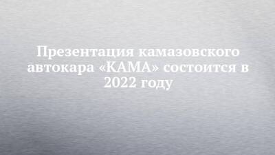 Рубен Варданян - Сергей Когогин - Презентация камазовского автокара «КАМА» состоится в 2022 году - chelny-izvest.ru - Камаз