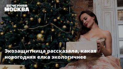 Экозащитница рассказала, какая новогодняя елка экологичнее - vm.ru - Экология
