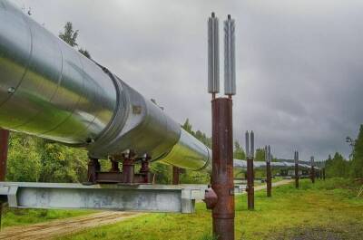 В Ростовской области газораспределительным организациям предоставили налоговые льготы - pnp.ru - Россия - Ростовская обл.