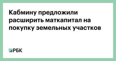 Ильдар Хусаинов - Кабмину предложили расширить маткапитал на покупку земельных участков - smartmoney.one