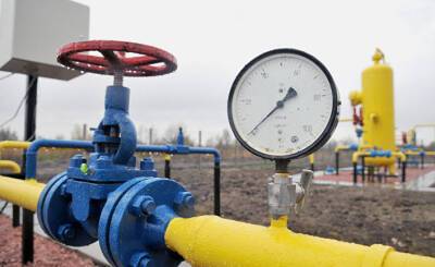Юрий Витренко - Страна (Украина): «Нафтогаз» не может удержать низкие тарифы, нужно переходить на биогаз - inosmi.ru - Украина