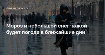 Мороз - Мороз и небольшой снег: какой будет погода в ближайшие дни - mos.ru - Москва