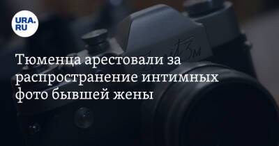 Тюменца арестовали за распространение интимных фото бывшей жены - ura.news - Россия - Тюменская обл. - Тобольск