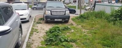 Депутаты Думы города Братск продолжают борьбу с незаконными парковками во дворах - runews24.ru - Братск