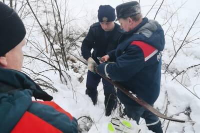 Без света в Новгородской области сидят почти 2700 жителей - mk.ru - Новгородская обл. - Великий Новгород