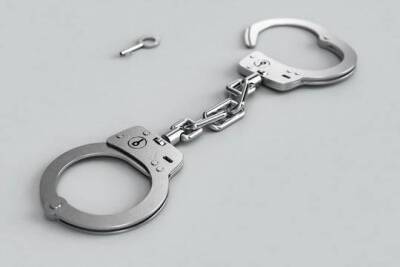 В Санкт-Петербурге задержан объявленный в международный розыск экс-чиновник Росреестра Борис Авакян - versia.ru - Россия - Санкт-Петербург - Армения - Париж - район Петроградский, Санкт-Петербург