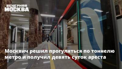 Москвич решил прогуляться по тоннелю метро и получил девять суток ареста - vm.ru - Москва - Россия - Москва