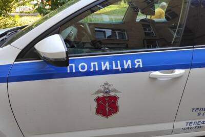 Мама ученицы избила одноклассницу дочери в школе в Кудрово - spb.mk.ru
