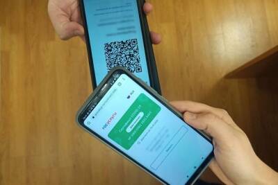 Доработать законопроект о QR-кодах в общественных местах попросил Путин - chita.ru - Россия