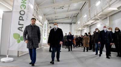 ГК «Агроэко» открыла новый свинокомплекс в Воронежской области - vestivrn.ru - Воронежская обл.