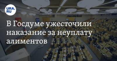 В Госдуме ужесточили наказание за неуплату алиментов - ura.news - Россия