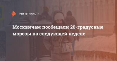 Москвичам пообещали 20-градусные морозы на следующей неделе - ren.tv - Москва - Россия - Москва