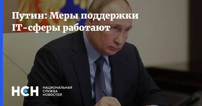 Владимир Путин - Путин: Меры поддержки IT-сферы работают - nsn.fm - Россия