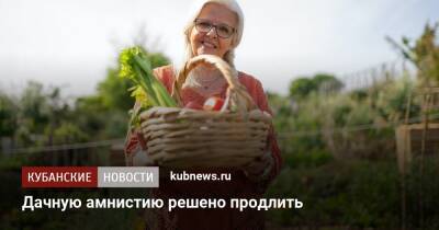 Дачную амнистию решено продлить - kubnews.ru