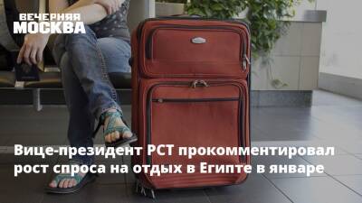 Дмитрий Горин - Вице-президент РСТ прокомментировал рост спроса на отдых в Египте в январе - vm.ru - Россия - Египет