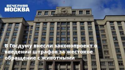 В Госдуму внесли законопроект о введении штрафов за жестокое обращение с животными - vm.ru - Москва