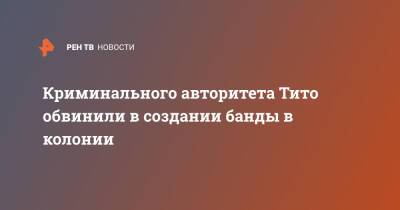 Криминального авторитета Тито обвинили в создании банды в колонии - ren.tv - Свердловская обл.