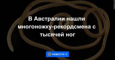 В Австралии нашли многоножку-рекордсмена с тысячей ног - news.mail.ru - Австралия