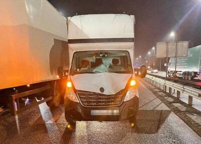 Под Киевом произошло двойное смертельное ДТП - lenta.ua - Украина - Киев - Киев
