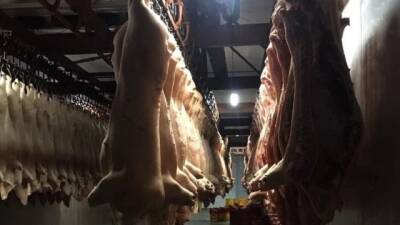 Поставщики продали украинским военным некачественное мясо - hubs.ua - Украина - Киев