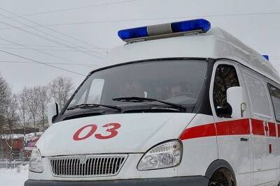 В Барышском районе на мужчину упало дерево - ulpravda.ru - Ульяновская - район Барышский - Скончался