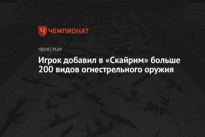 Игрок добавил в «Скайрим» больше 200 видов огнестрельного оружия - championat.com